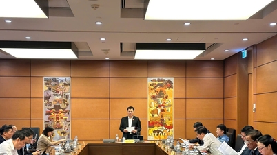 Τελειοποίηση του νομικού πλαισίου στον τομέα της ασφάλειας και της τάξης