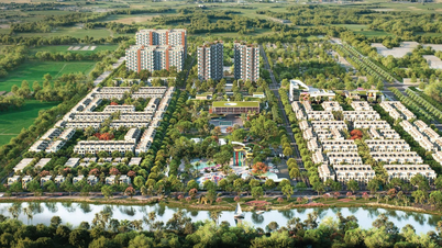 L'entreprise du magnat Dang Van Thanh a construit 4 000 maisons destinées à être vendues aux travailleurs de Tay Ninh.