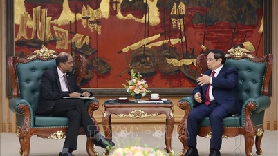 Premier przyjmuje ambasadora Singapuru w Wietnamie Jayę Ratnam