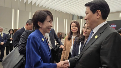 Președintele Luong Cuong se întâlnește cu liderii economici ai APEC