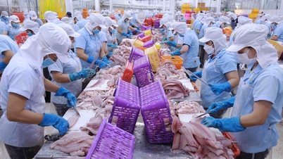 Handel Wietnam-Meksyk przyspiesza dzięki CPTPP