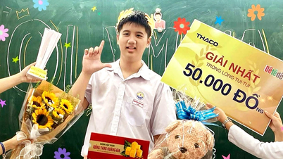 Provinsleder i Dong Thap tildeler fortjenstbevis til «fjellklatrer» som ikke gikk på spesialskole