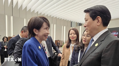 President Luong Cuong ontmoet leiders van APEC-economieën