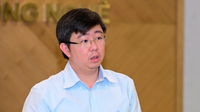 В'єтнамські технологічні підприємства незабаром отримають можливість вирішувати складні проблеми держави.