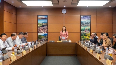 Sancțiuni sporite pentru scurgerile de date