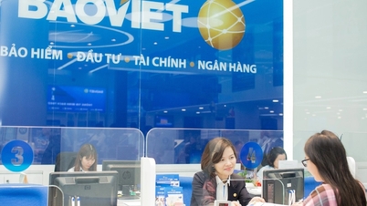 Bao Viet, AIRA 2025'te Asya'nın En İyi Entegre Raporu Altın Ödülü'nü kazandı