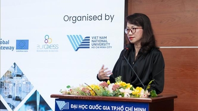 Mogelijkheid voor Vietnamese wetenschappers om toegang te krijgen tot het Horizon Europe-programma