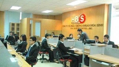 Společnost Hoa Binh Securities Company je pod zvláštní kontrolou.