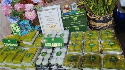 Târgul de toamnă: Orez verde tânăr - Aromă de toamnă, suflet rural în identitatea vietnameză