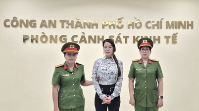 Bắt tạm giam diễn viên Trương Ngọc Ánh vì hành vi lạm dụng tín nhiệm chiếm đoạt tài sản