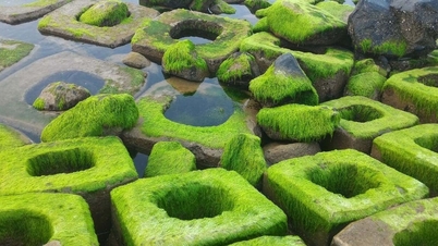 Xom Ro Phu Yen: Yeşil yosun dalgakıranından beklenmedik güzellik