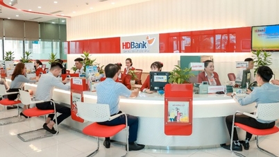HDBank: Nadal liderem pod względem marży zysku we wrześniu