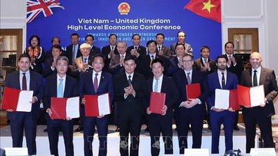 Vietnam geeft prioriteit aan het aantrekken van hoogwaardige investeringen en zet zich in voor de begeleiding van bedrijven