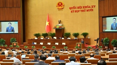 Kompleksowa ustawa o krajowej transformacji cyfrowej