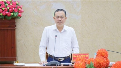 Wzmocnić i zorganizować zespół urzędników odpowiedzialnych za edukację na szczeblu gminy i okręgu.