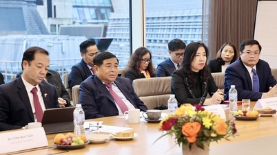 Het is noodzakelijk om een Vietnamees innovatienetwerk op te zetten in het Verenigd Koninkrijk en Ierland.