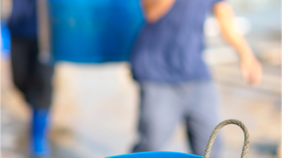 ניוזלטר שוק החקלאות, היערנות והדיג פורסם ב-31 באוקטובר 2025