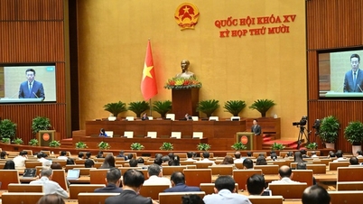 Serahkan tiga rancangan undang-undang tentang transformasi digital, teknologi tinggi, dan transfer teknologi kepada Majelis Nasional