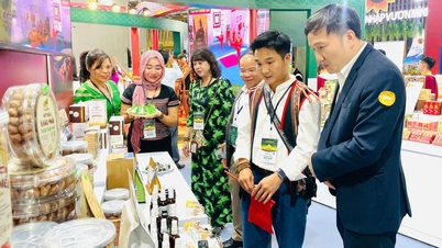 Ấn tượng không gian trưng bày Gia Lai tại Hội chợ mùa Thu 2025