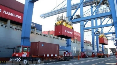 Logistiek op het scherpst van de snede