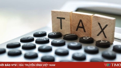 Tax collection from business households increased by 25%