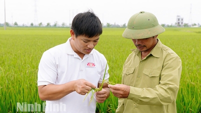 Young pioneer brings science to the fields