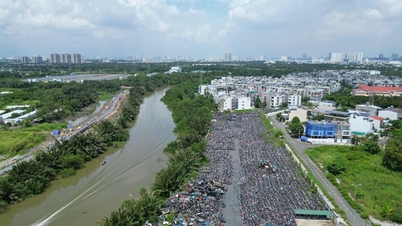 TP.HCM đấu giá thành công hơn 1.600 phương tiện vi phạm, thu hơn 3 tỷ đồng