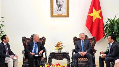 Hoạt động đối ngoại