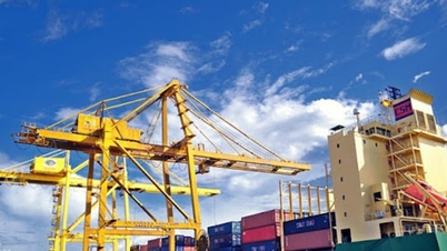 Hanoi's export turnover in the first 9 months of 2025 increased by 12.1%