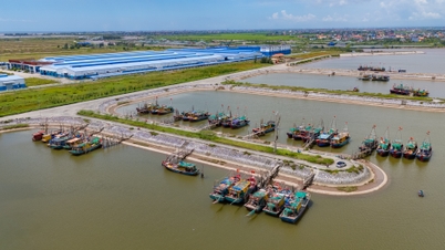 Provinční lidový výbor Ninh Binh nařizuje proaktivní reakci na bouři č. 11 (Matmo)