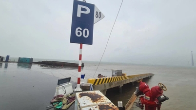 Prävention von Sturm Matmo: Hai Phong und Quang Ninh verhängen Seeverbote