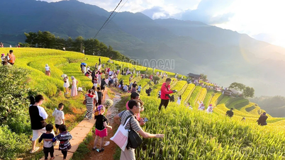 Lào Cai: Kinh tế tăng trưởng ổn định, cơ cấu chuyển dịch tích cực