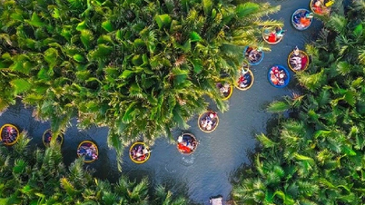 Découvrez la cocoteraie de Cam Thanh - Top 50 des plus beaux villages du monde