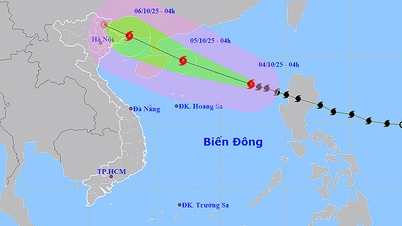 10月4日の天気：突風レベル16の嵐第11号が北東海と北部本土を脅かす