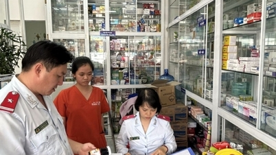 Sở Y tế Lâm Đồng thông báo thu hồi lô vị thuốc Hà thủ ô đỏ chế