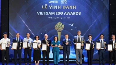 ขยายเวลารับสมัครรอบที่ 1 ของรางวัล Vietnam ESG Awards 2025