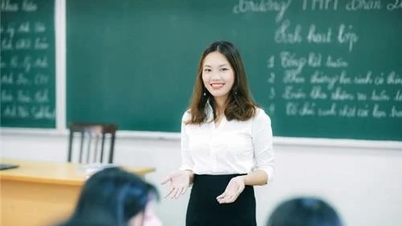 Proiect de regulament privind standardele profesionale pentru cadrele didactice universitare
