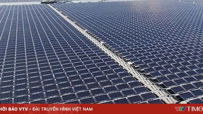 Solární energie se stává hlavním zdrojem elektřiny v Evropě