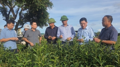 Promoting agricultural economic development: A shift from practical requirements