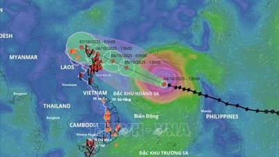 Early morning on October 6, storm No. 11 entered the northern part of the Gulf of Tonkin and gradually weakened.