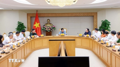 Triển khai hợp tác Việt Nam-Lào