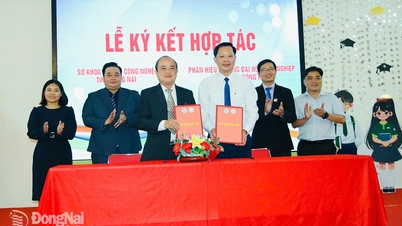 Ứng dụng kỹ năng số trong khởi nghiệp, lập nghiệp