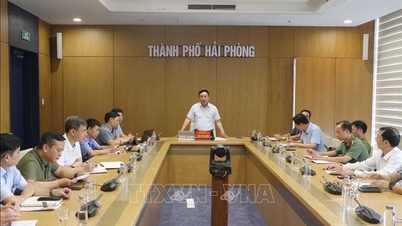 Hai Phong holds urgent meeting to deploy storm prevention measures No. 11