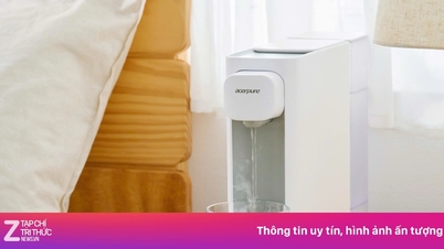 Acerpure Aqua – praktischer Wasserreiniger, jederzeit einsatzbereit