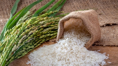 Rice price today October 4: Slow transactions, slight decrease in exports