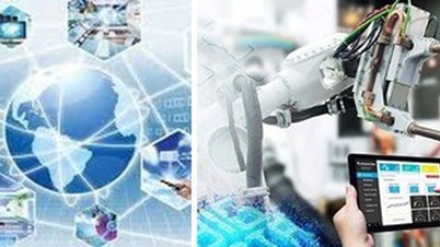 إصدار مرسوم ينظم الأنشطة العلمية والتكنولوجية والابتكارية ومنتجات وخدمات البيانات