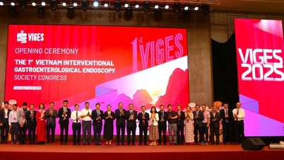 Update international standards in the field of gastrointestinal endoscopy