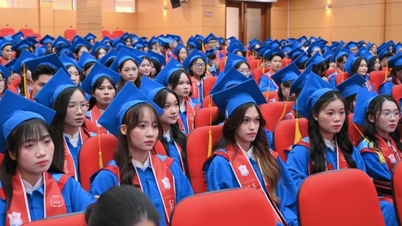 Học tốt, hành giỏi vẫn thu nhập thấp và bài toán ngược cho giáo dục đại học