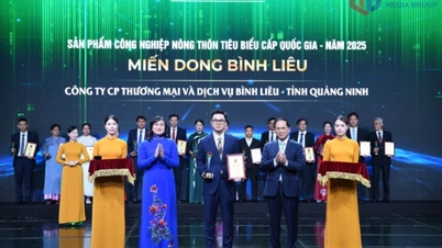Die Fadennudeln von Binh Lieu werden im Jahr 2025 als ländliche Industrieprodukte anerkannt.