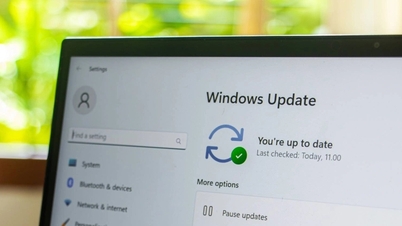 Beeilen Sie sich nicht, Ihren Windows-Computer zu aktualisieren